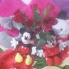 joyce85330