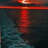 mamedov_215