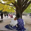 aynurnorwati