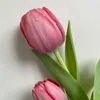 ylamun123