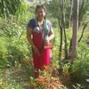 kamalathapabist45