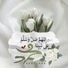 user8136674791896