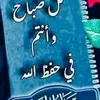 mustafa_hollandi