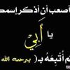 dy15ewyulbhsmaram