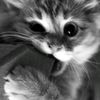 hoor.menna.mohamed16