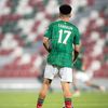 Hassan17