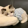 mjniey_