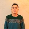 user4393363526180