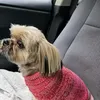 coco6516