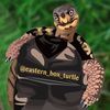 eastern_box_turtle