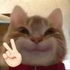 eotjd_ray