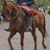 carlos69785