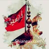shianeali.com