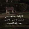 roro_s909