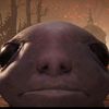 fishface211111