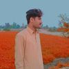 sajidaligujar11gmail.com