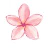 pink_hippogirl
