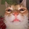 ramyabdllh775