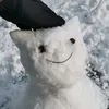 libracatwitch