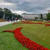 aligondalaustria4