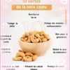 noix_acajou