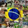 mfapbt3