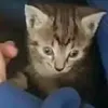 hhhooohhhooolll