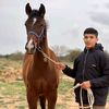 ahmed.smeda40