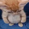 butxxzn