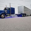 shaynecullen187