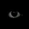 jacktheripper0042