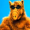 alf.690