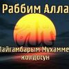 taras79kassa