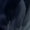 dawgxyz