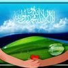 mamdouhsayed7838