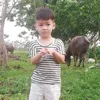 dotuantai235