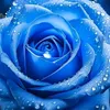 user1126837361918