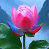 chiennongminh