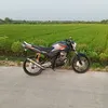 mas_dimas33