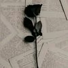 capricorn_00.00
