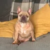 pennyanddaisy1