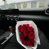chani.frt