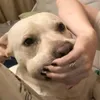 itks.mimi