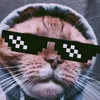 _vitalliz_