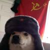 your_local_dog_eater1