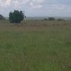 kabajamba