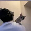 dyefocmlnjoo