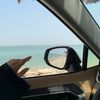 شُمُوخ.