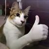 youtoosweetie