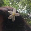 ayesha_jahan19